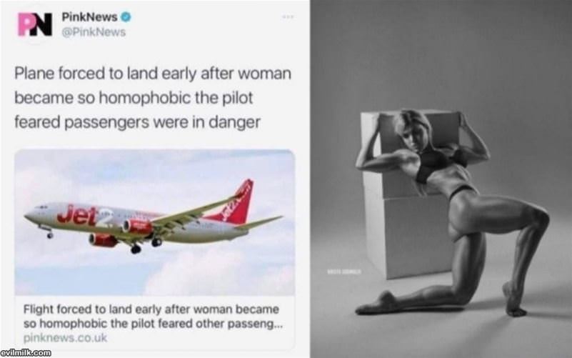 Plane Forced To Land