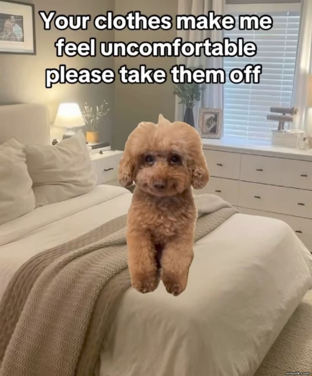 Please