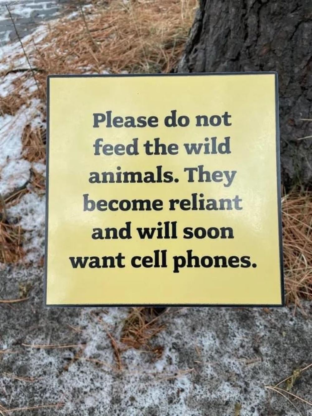 Please Do Not Feed