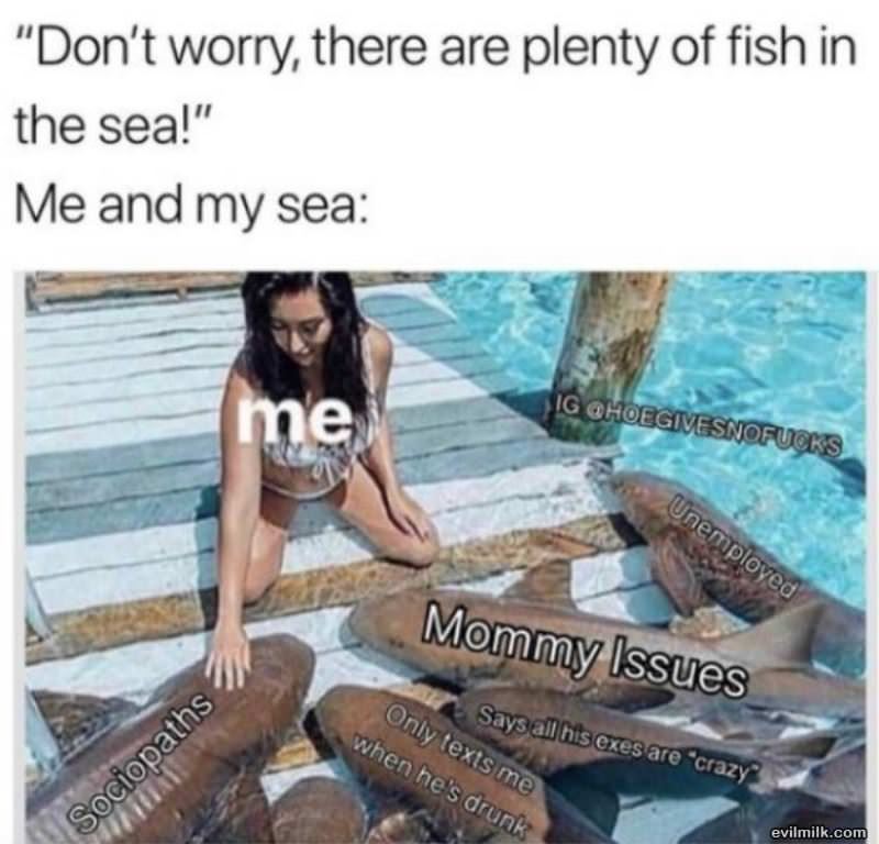 Plenty Of Fish In The Sea