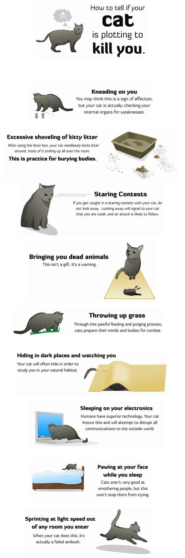 Plotting Cat