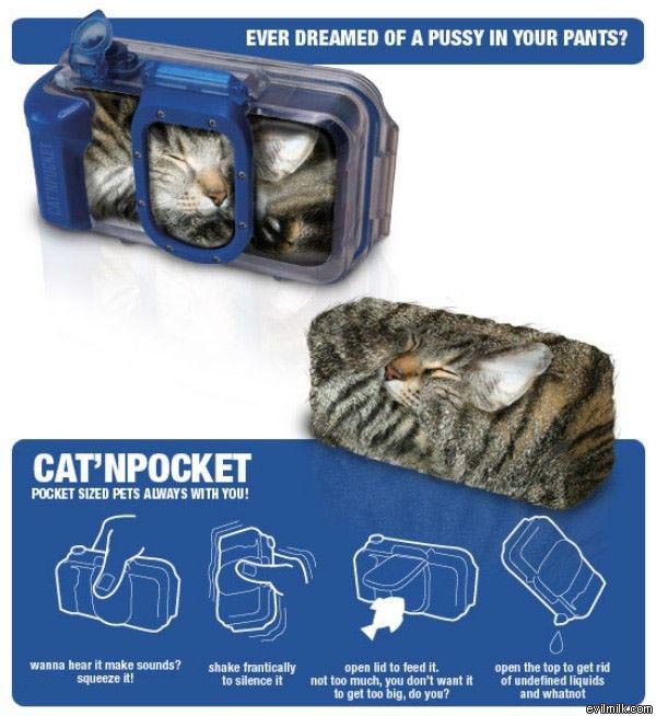 Pocket Cat