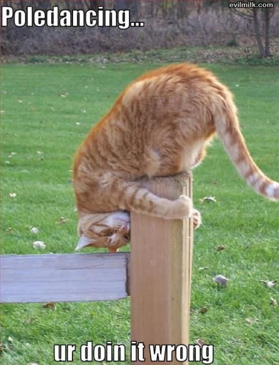 Poledancing