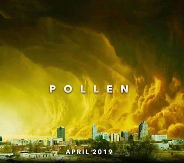 Pollen Is Coming