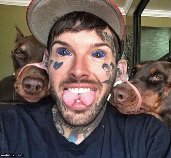 Poor Dogs