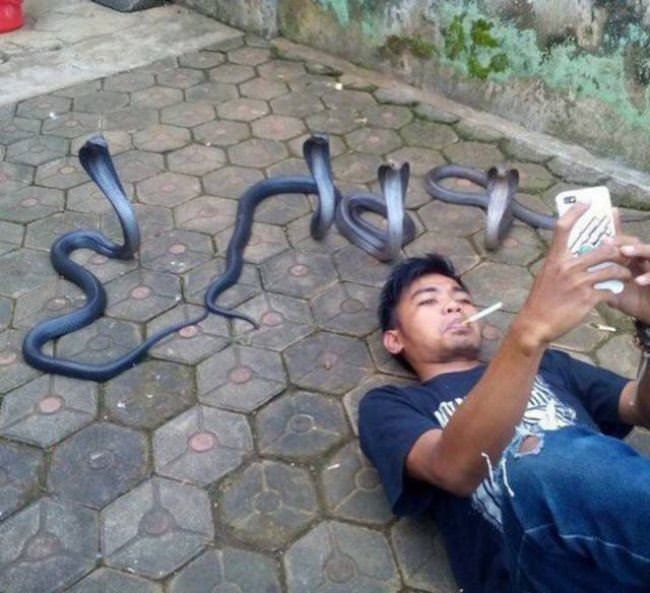Posing For The Photo