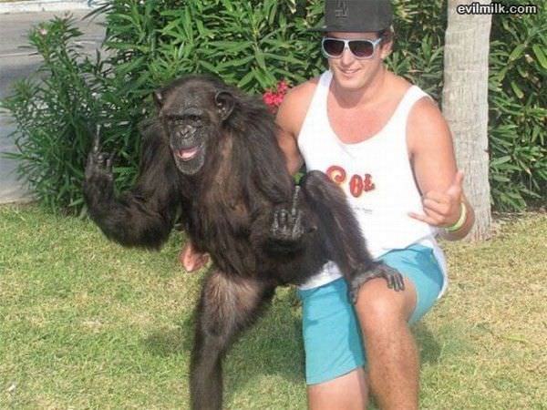 Posing Monkey