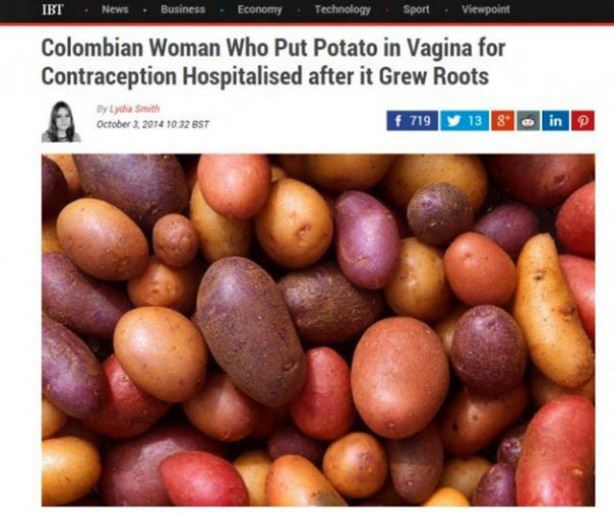 Potato