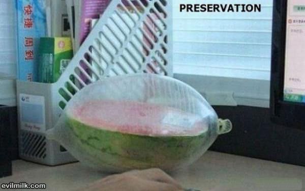 Preservation