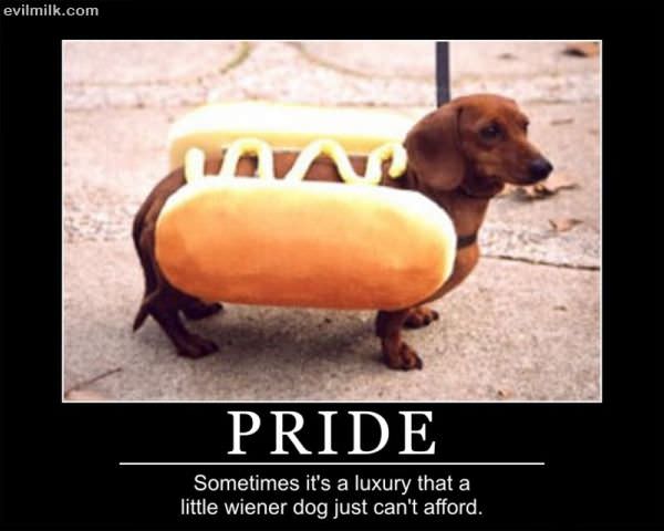 Pride