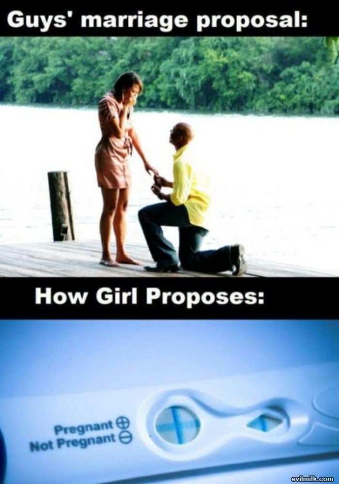 Proposal