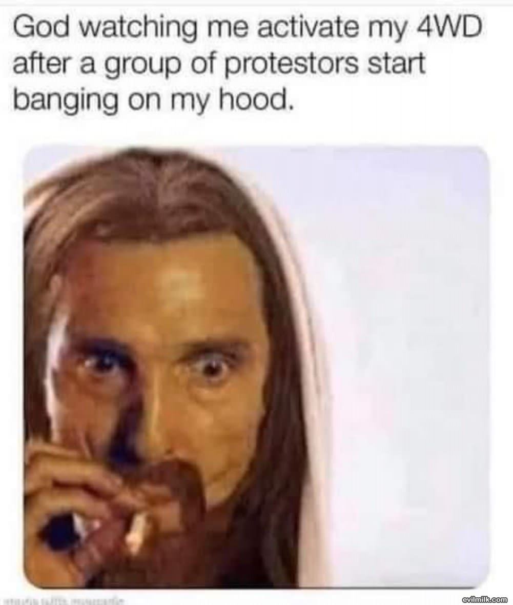 Protestors