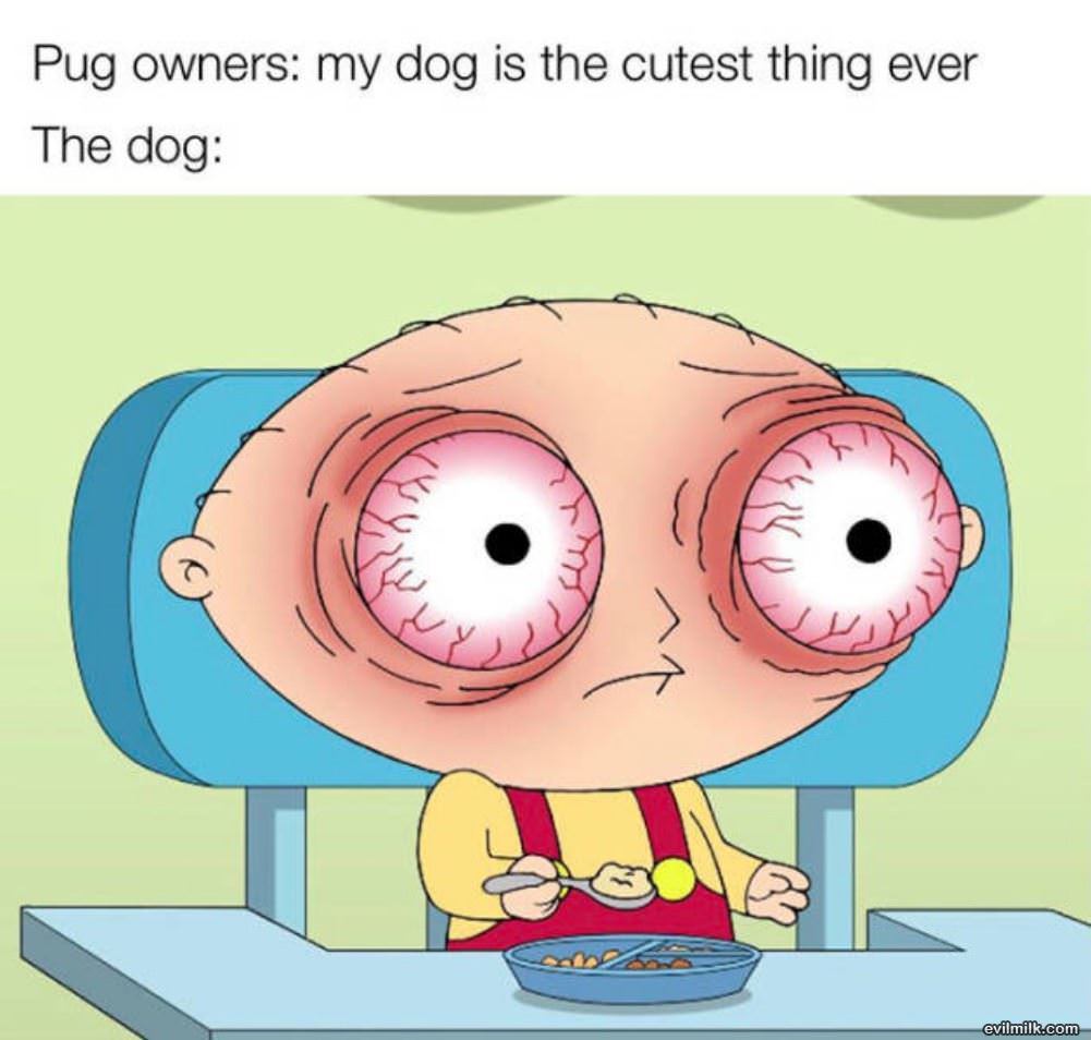 Pug Owners