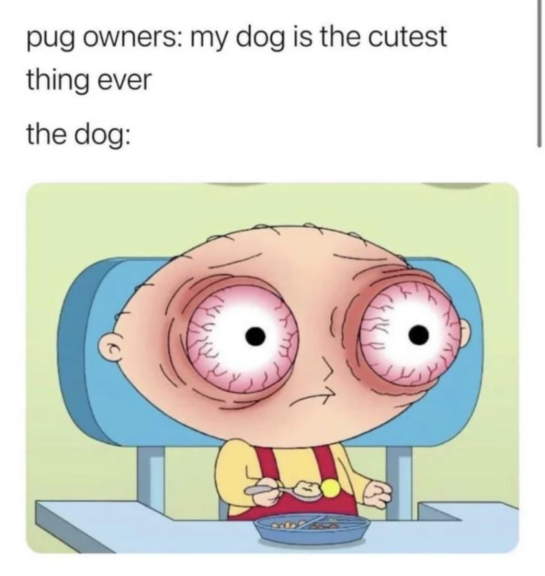 Pug Owners