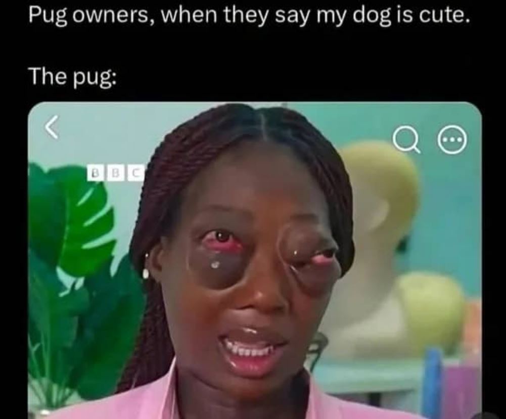 Pug Owners