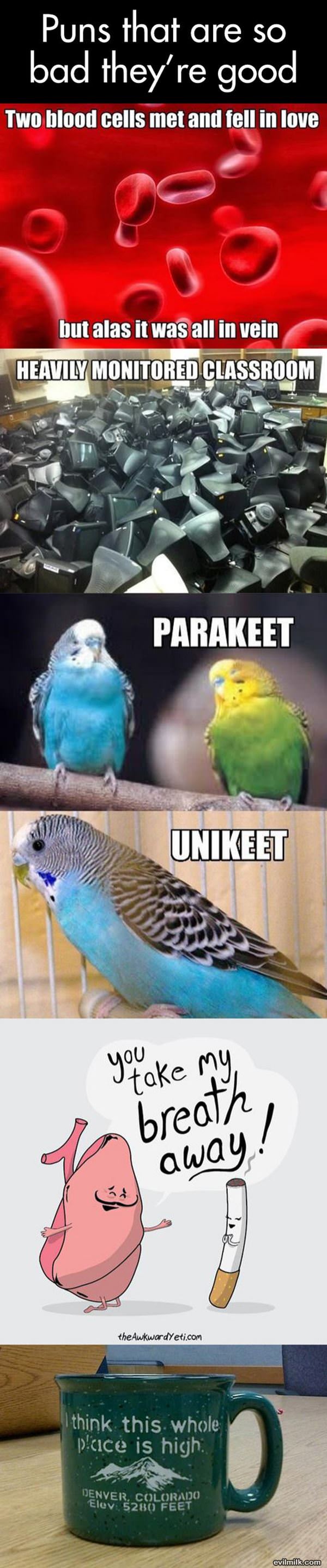Puns