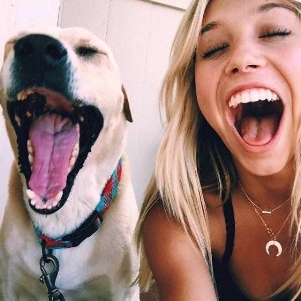 Puppy Dogs 32
