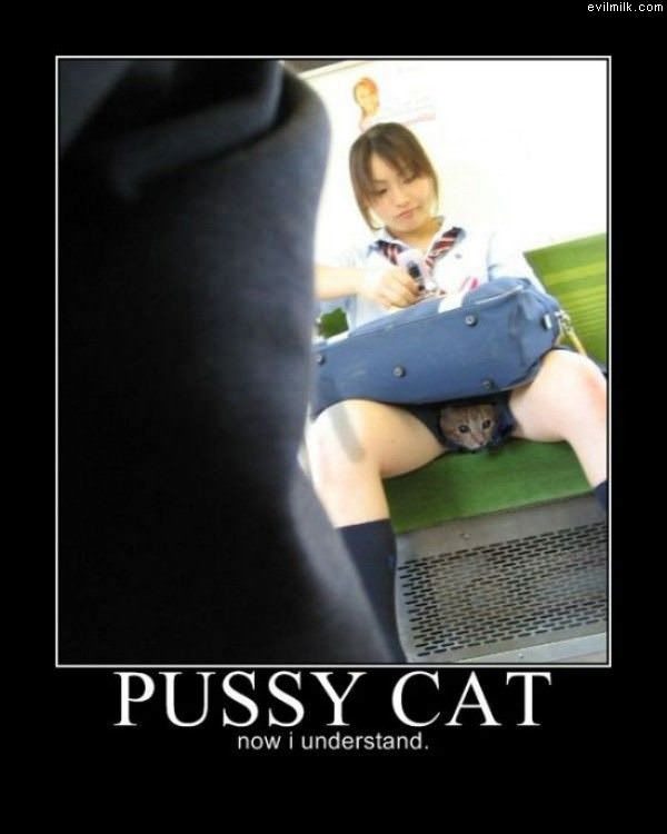 Pussy Cat