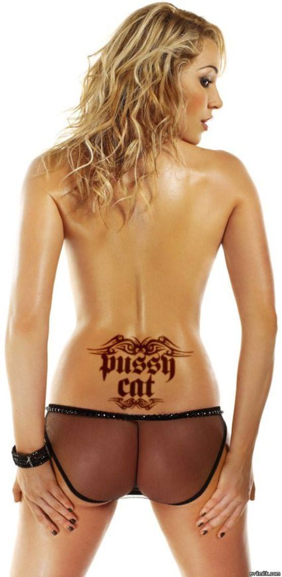 Pussy Cat Tramp Stamp