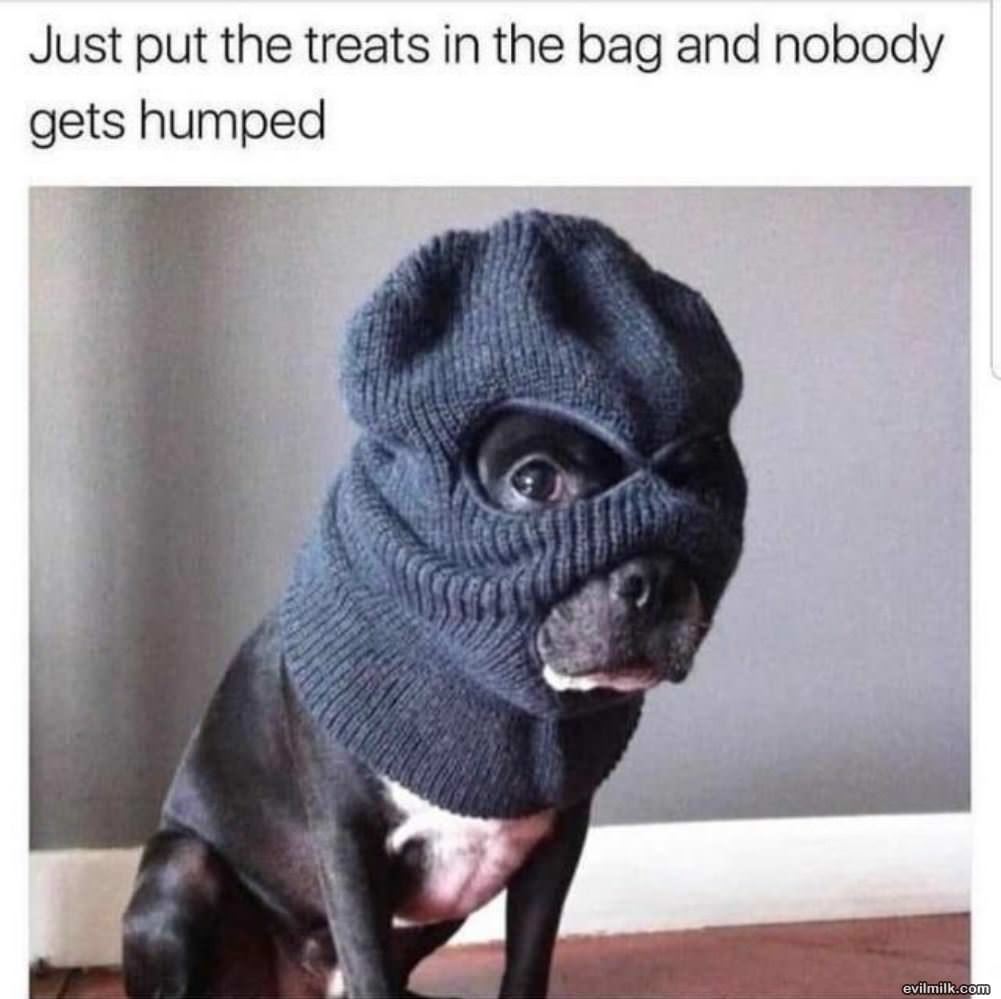 Put The Treats In The Bag