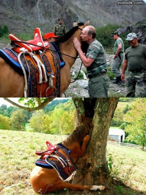 Putins Kiss