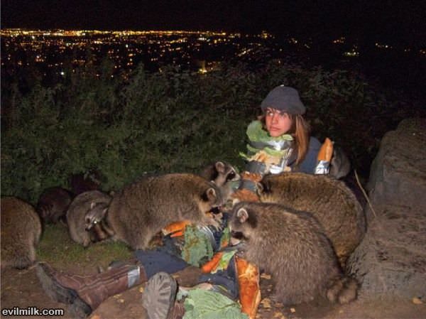 Racoon Lady