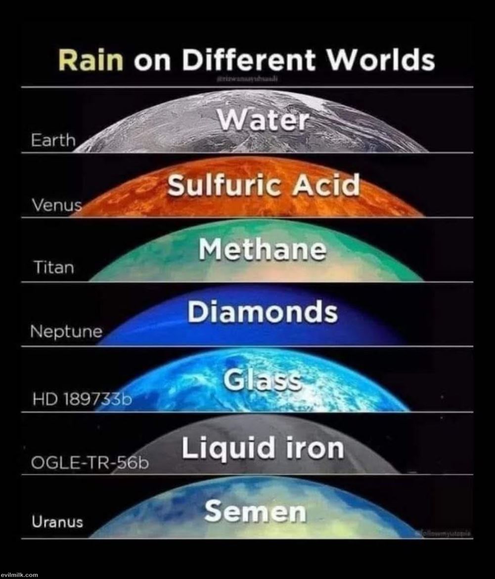 Rain