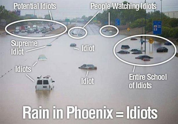 Rain Idiots