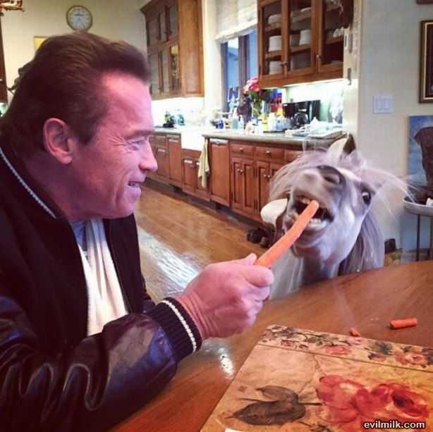 Random Celebrities Picdump 17