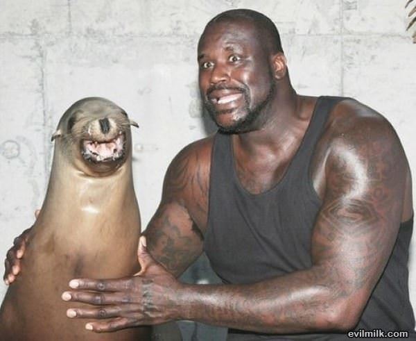 Random Celebrity Picdump 6
