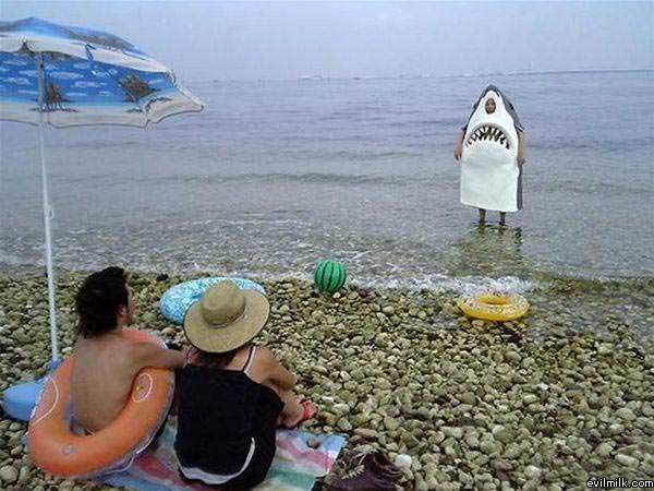 Rarr Shark
