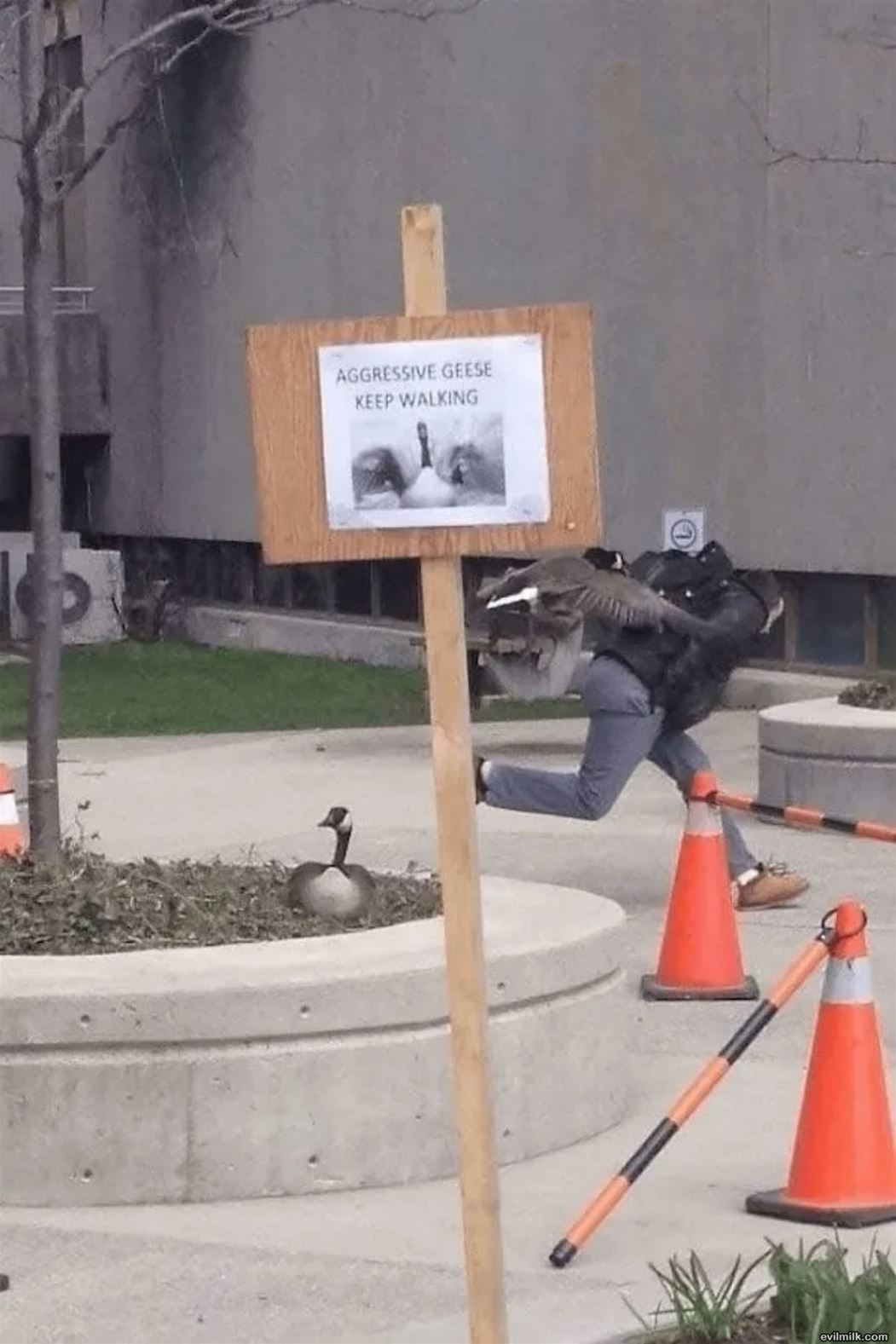 Read The Sign