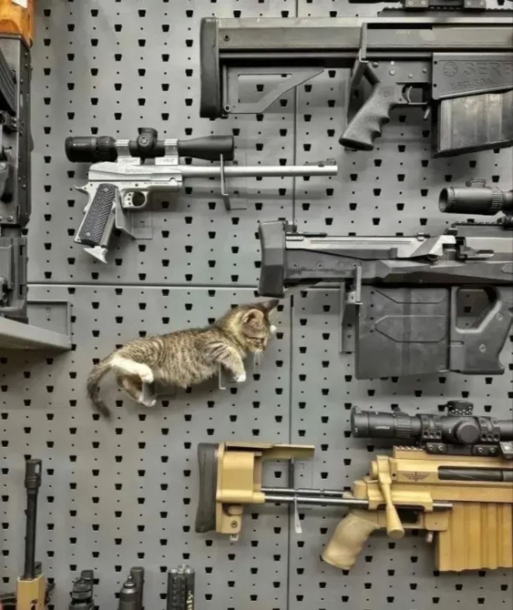 Ready For Battle