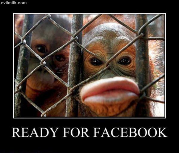 Ready For Facebook
