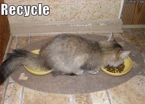 Recycle