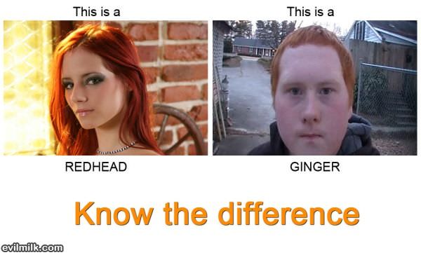 Redhead Vs Ginger