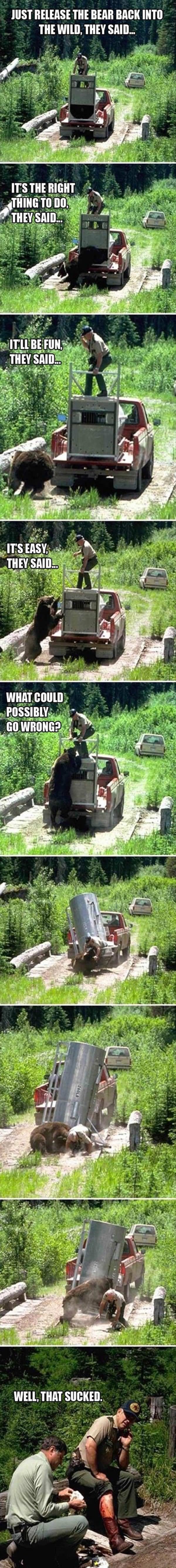 Release The Bear