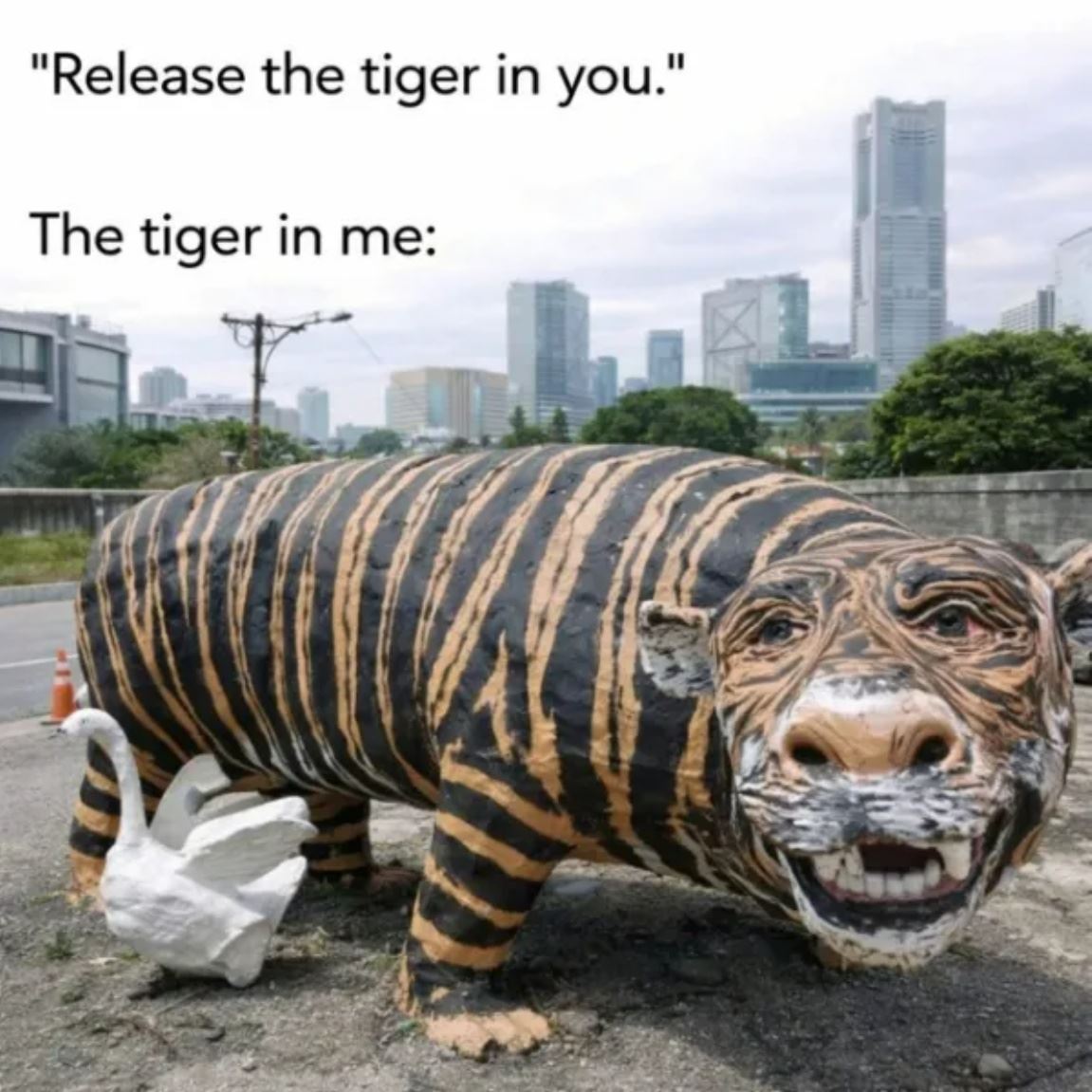 Release The Tiger