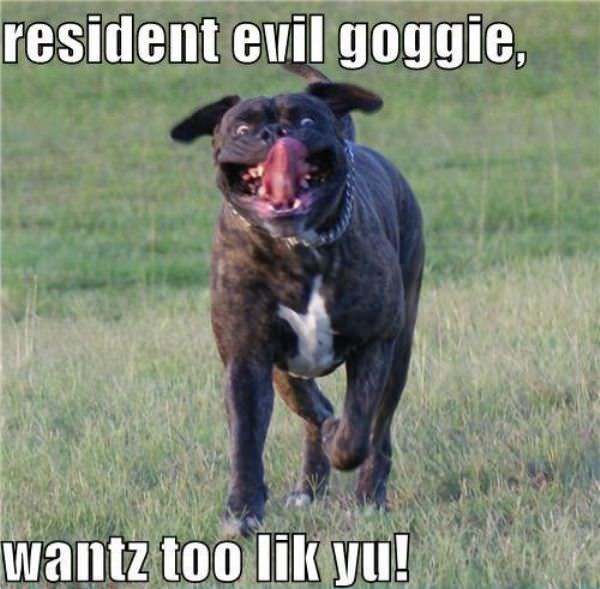 Resident Evil Doggie