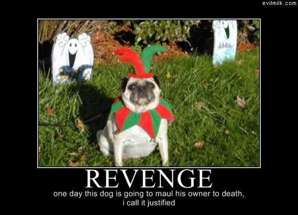 Revenge