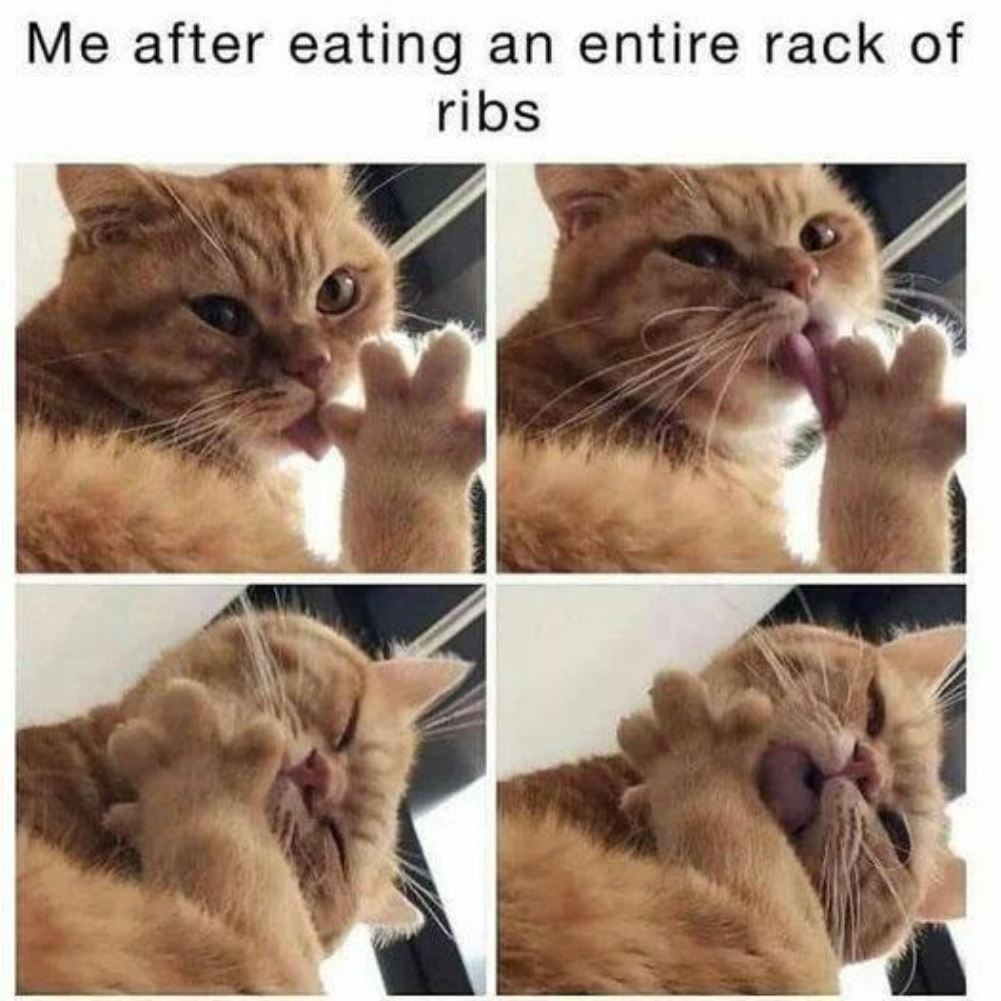 Ribs