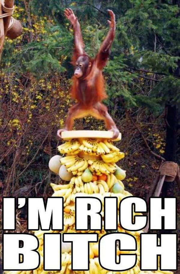 Rich Monkey