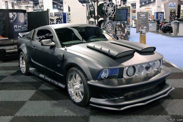 Ridiculous Mustang