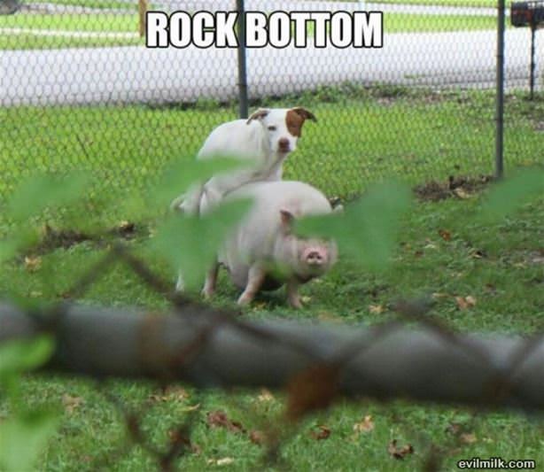 Rock Bottom