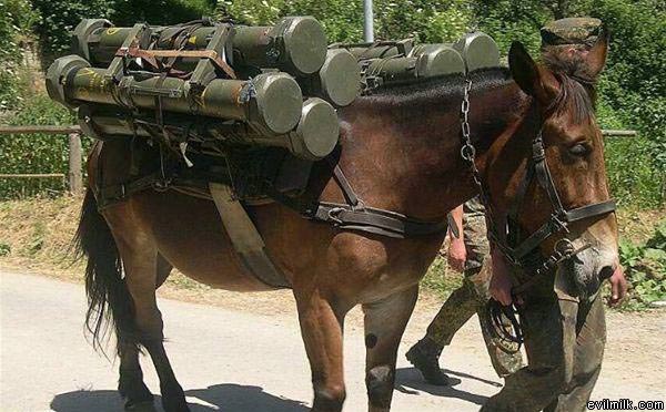 Rocket Horse