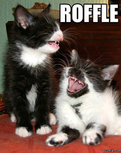 Roffle