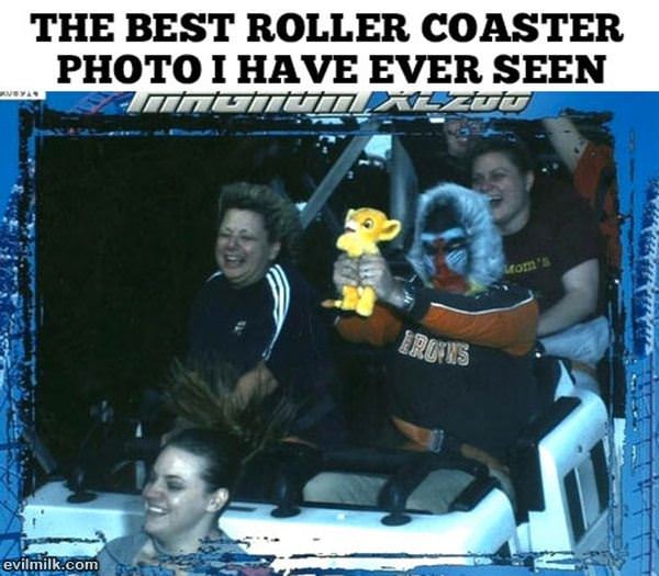 Roller Coaster Photo