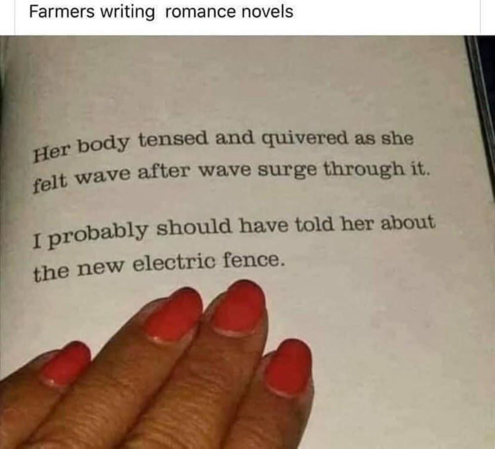 Romance Novels