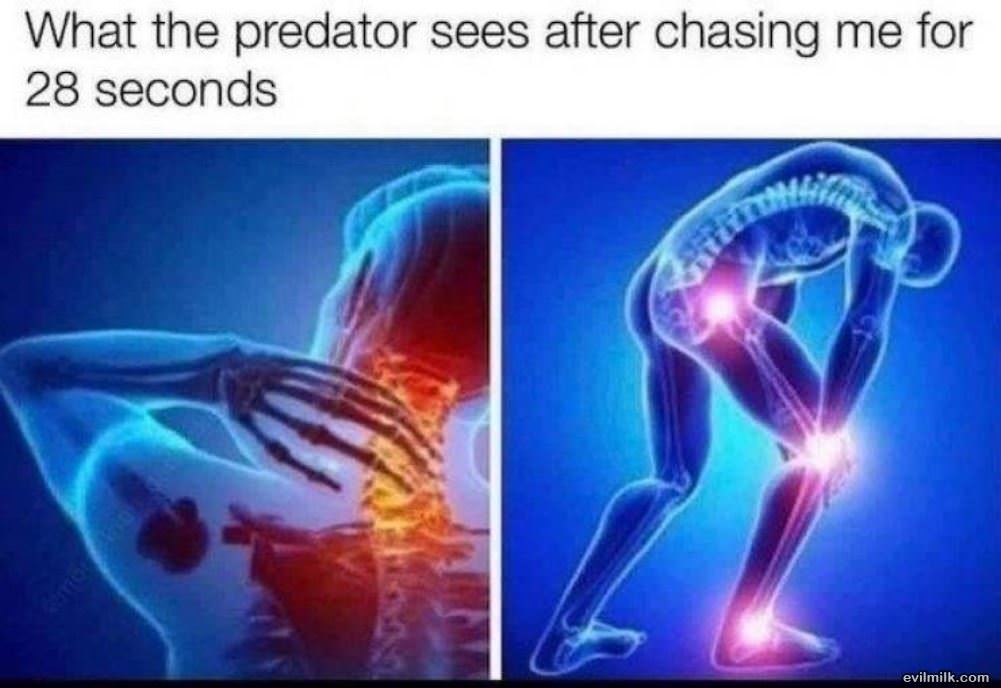 Running From The Predator