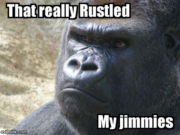 Rustled My Jimmies